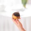 Malt Chocolate Donut